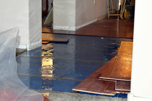 Professional Burst Pipe Cleanup technician working in Concrete, WA
